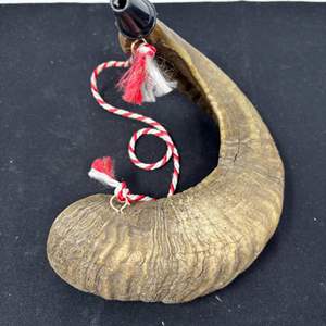 Lot #98 - Vintage Ram's Horn with Plastic Mouthpiece and Decorative Twine