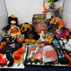 Lot #212 - Halloween Decor Lot - Assorted Decorations, Plush Toys, and Accessories.