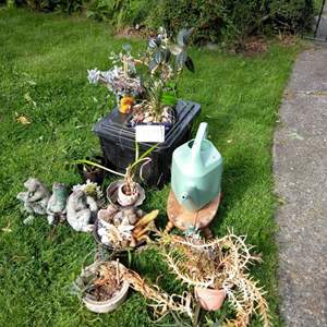 Lot # 169 - Plants, watering can, wood stool, cement frogs