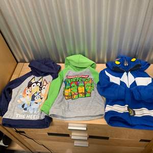 Lot #257 Toddler’s Cartoon Hoodies Size 5T; TMNT, Power Rangers, & Bluey