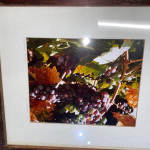 Lot #26 vintage Grapes Print