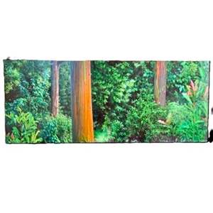 Lot #81 - "Sunbeam in the Rainbows: Maui" Colorful Eucalyptus Tree Photo on MDF  57" x 24"