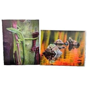 Lot #89 - Set of Two Enlarged Photos 16 x 20 by Randy Koepsell