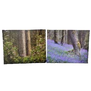 Lot #91 - Set of Two Enlarged Photos 16 x 20 by Randy Koepsell "Mystic Bluebonnets" Texas