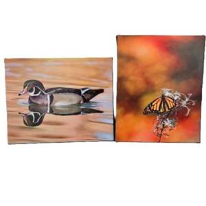 Lot #92 - Set of Two Enlarged Photos 16 x 20 by Randy Koepsell - Colorful Wood Duck & Monarch Butterfly 