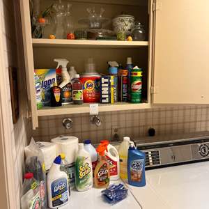 LD- Lot #161 - Assorted Household Cleaning Supplies and Glass Decor Lot.