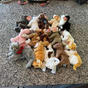 Lot #129 Variety of Ty Beanie Babies