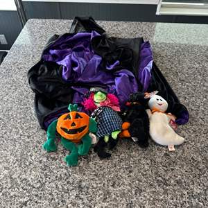 Lot #254 Assorted Halloween Decorations