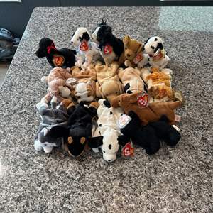 Lot #311 Variety of Dog Ty Beanie Babies