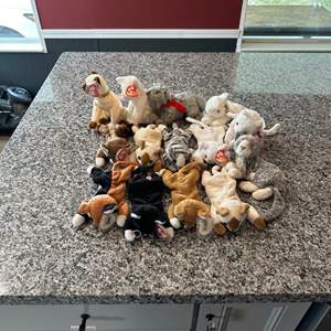 Lot #343 Vareity of Cat Ty Beanie Babies