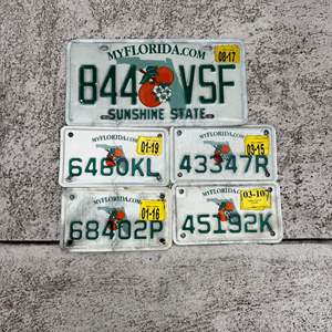 Lot #431 (5) Florida License Plates