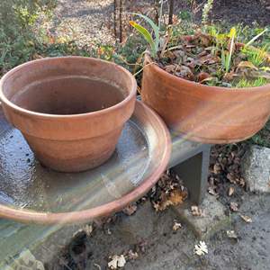 Lot #405 - Terracota planters