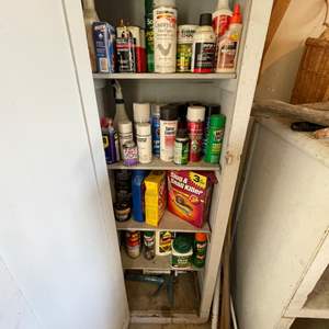 Lot #443 - Contents of Gray Cabinet