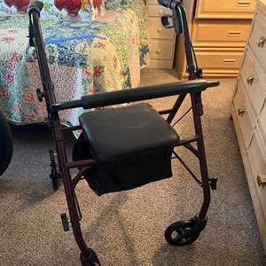 Lot #246 - Walker