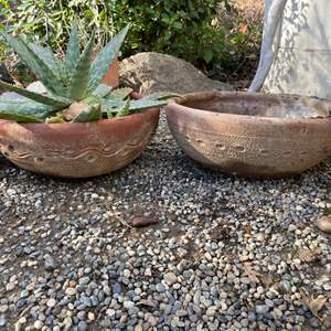 Lot #302 - Terracotta planters with one plant