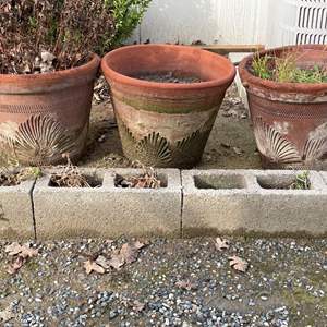 Lot #323 - Terracotta planters