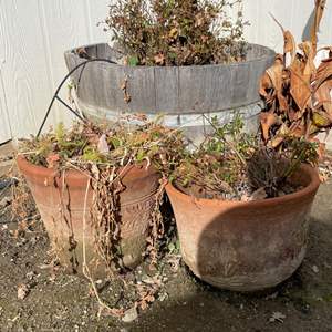 Lot #325 - Terracotta planters & large wooden planter