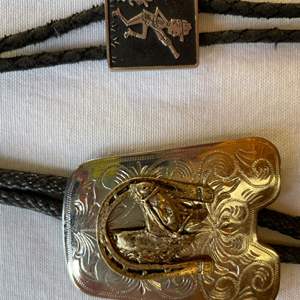 Lot #139 - Pair of bolo ties