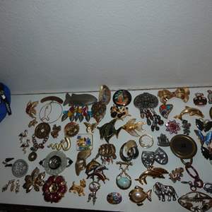 Lot #548 Costume Brooch Lot #1