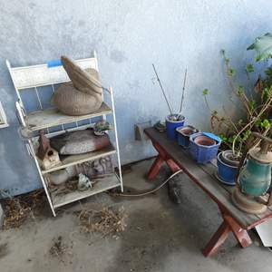 Lot #753 Lot of Garden Stuff