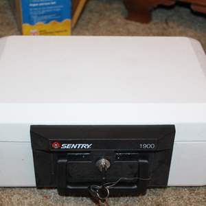 Lot #82 Portable Safe by Sentry w/Key