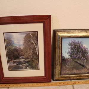 Lot #122 Lot of 2 Framed Photographs- North Fork River, CA & Lupine