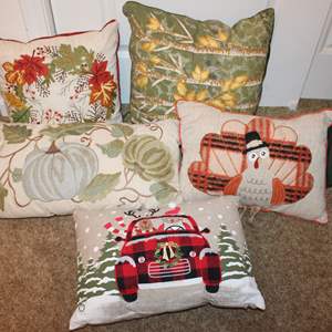 Lot #170 Seasonal Pillows- Pier One