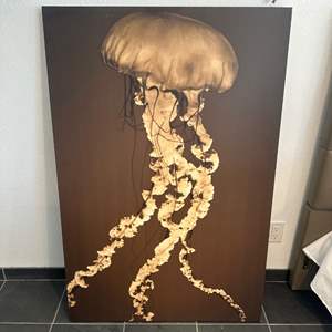 Lot #2 - Jellyfish art print