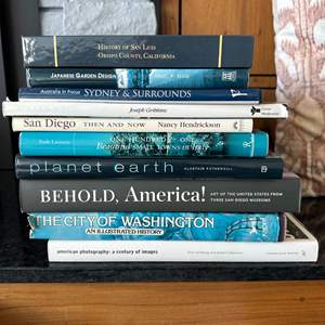 Lot #111 - International travel books