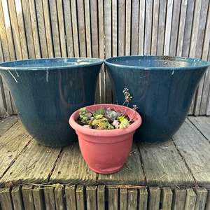 Lot #178 - 3 plastic pots