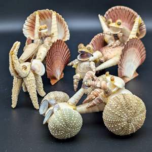 Lot #261 - Seashell Creatures 