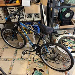 Lot #223 - Roadmaster bike