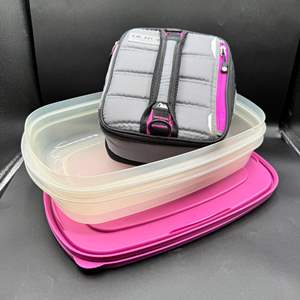 Lot #225  - Plastic food storage containers with Arctic lunch box