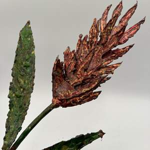 Lot #11 - Copper and enamel Indian paintbrush