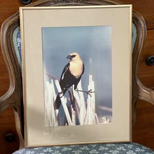 Lot #274 - Framed bird photo