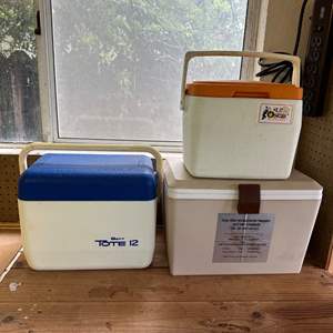 Lot #385 - Camping with 12V cooler/warmer