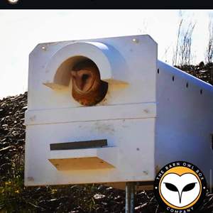 Lot #34  - Barn owl box company brand owl box 