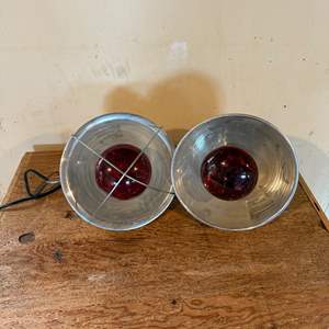 Lot #161  - Pair of heat lamps