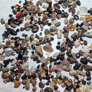 Lot #32 - Polished Stones and Fossil