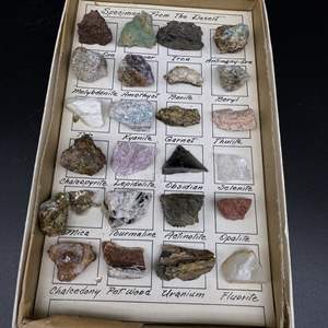 Lot #82 - Rock Specimens