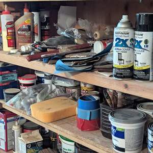 Lot #357 - Paints, Glues and More (shelf not included)