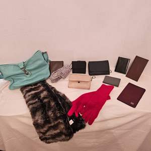 Lot #259- Wallets, Purse and Scarf/Wrap, Gloves