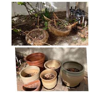 Lot #375- Assorted Pots of Various Color and Sizes