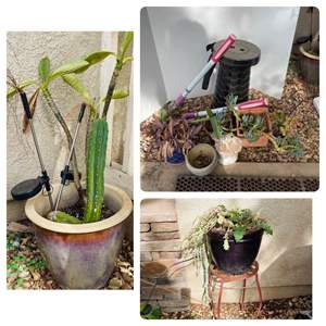 Lot #382- (3) Medium Potted Plants, Gardening Tools, Metal Standing Plant, & More