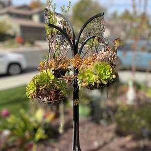 Lot #386- Large, Sturdy (Newish) 4 Sheppard Hook Stand With Succulents 