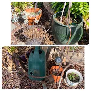 Lot #392- Assortment of Potted Plants, Pot Holders, & Green Watering Can